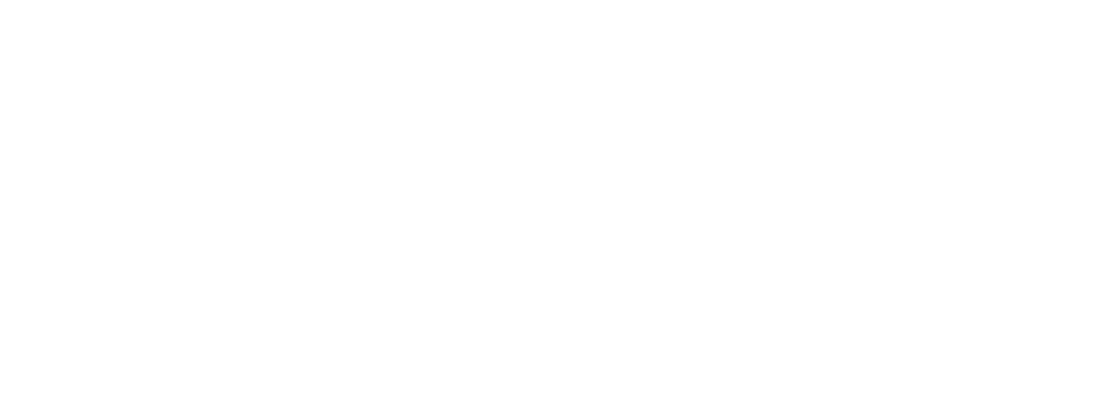 Success Summit 2027